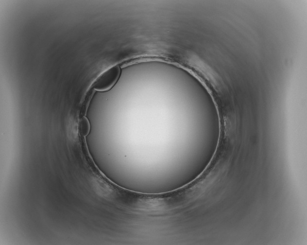 X0000112841260200908281544