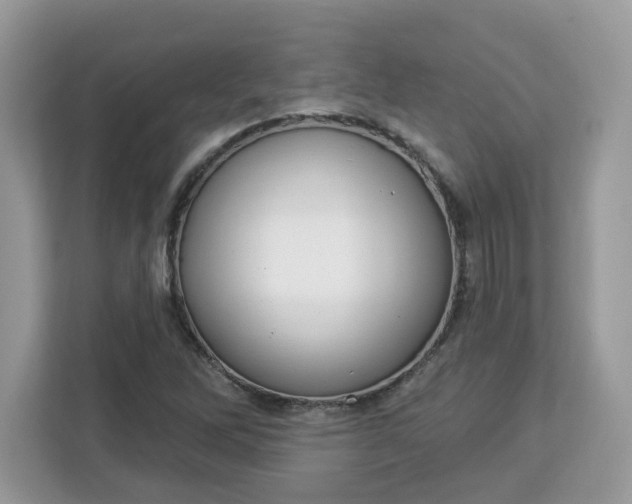 X0000112841262200908281544