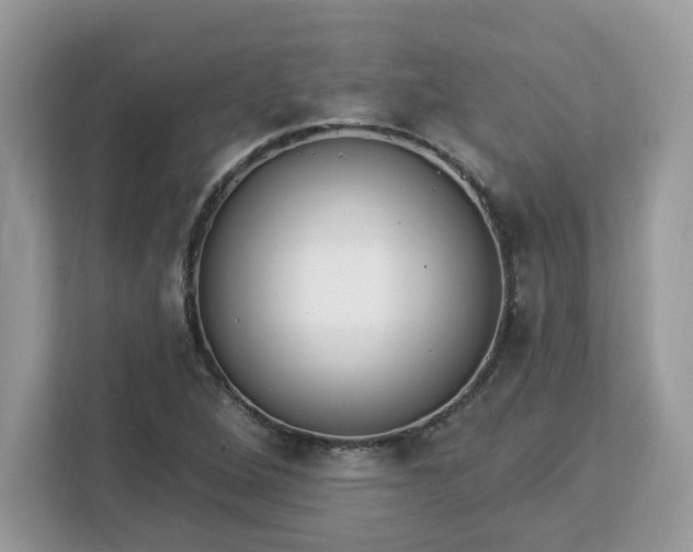 X0000112841264200908281544