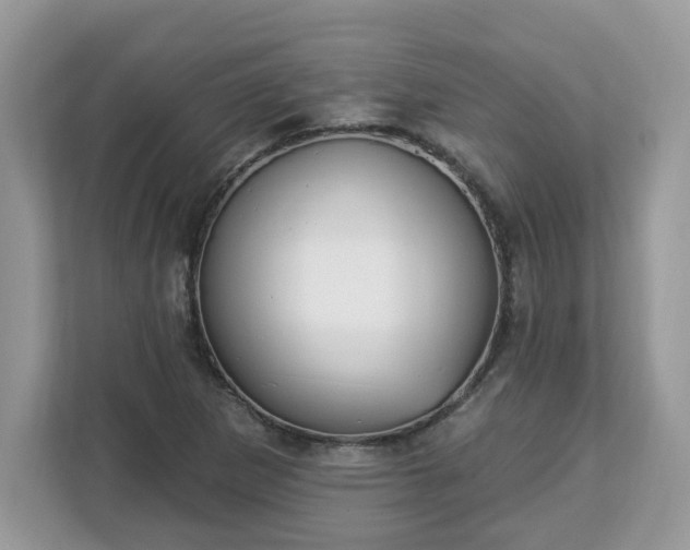 X0000112841265200908281544