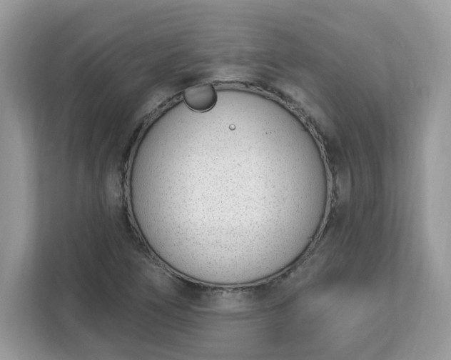 X0000112841266200908281544