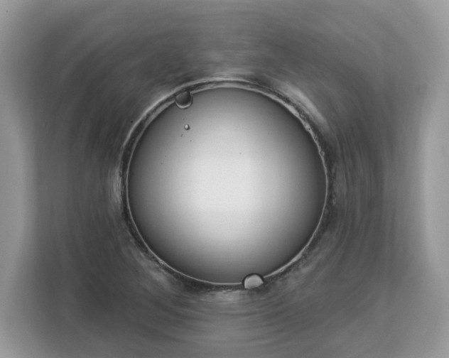 X0000112841268200908281544