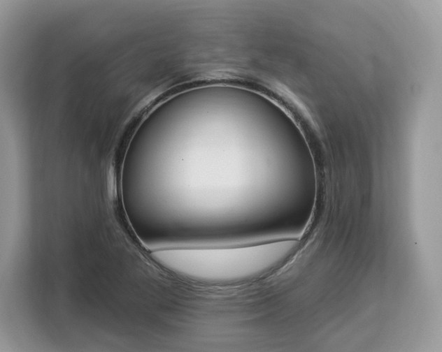 X0000112841269200908281544