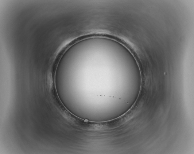 X0000112841271200908281544