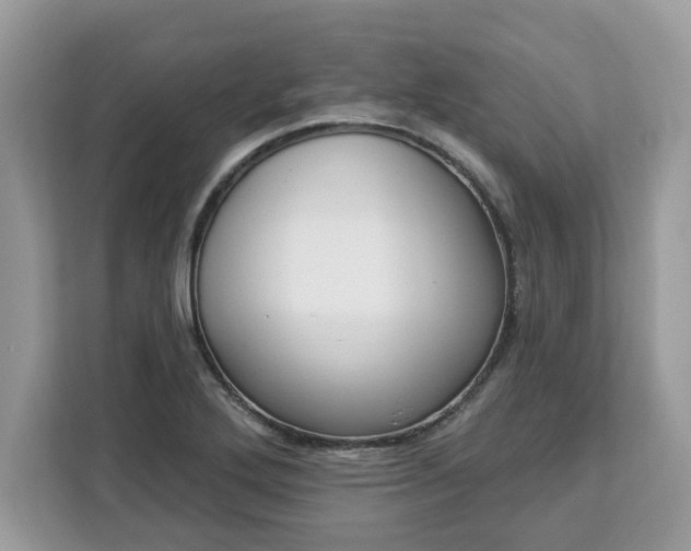 X0000112841272200908281544