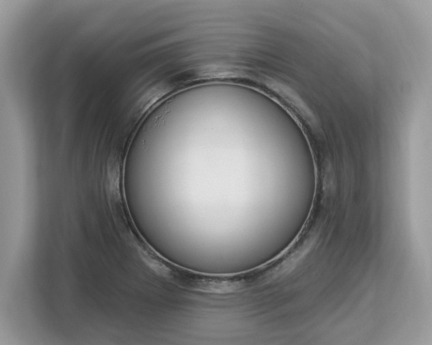 X0000112841273200908281544