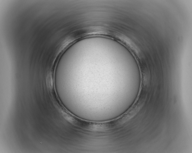 X0000112841274200908281544