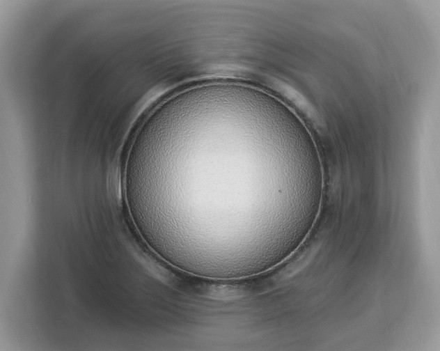 X0000112841275200908281544