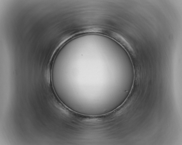 X0000112841276200908281544