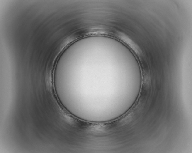 X0000112841282200908281544