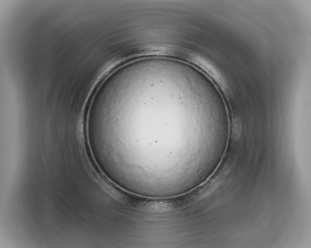 X0000112841283200908281544