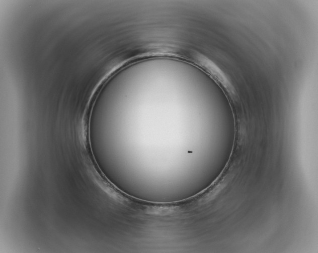 X0000112841284200908281544