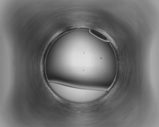 X0000112841285200908281544