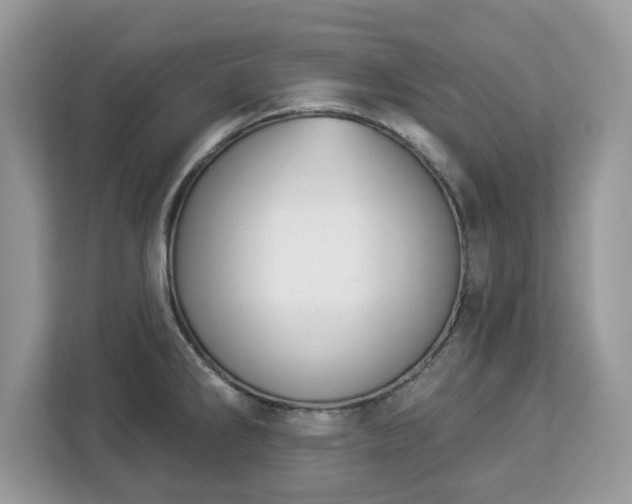 X0000112841286200908281544