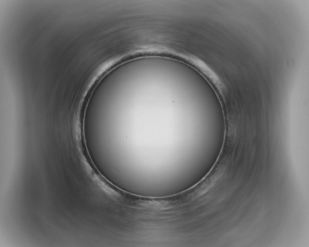 X0000112841287200908281544