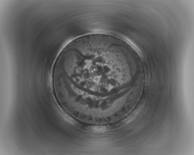 X0000112841291200908281544