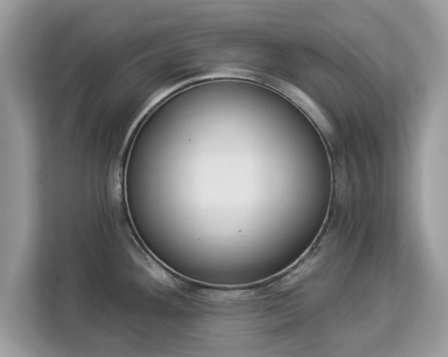 X0000112841292200908281544