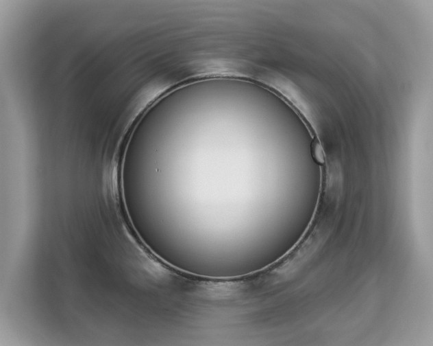 X0000112841293200908281544