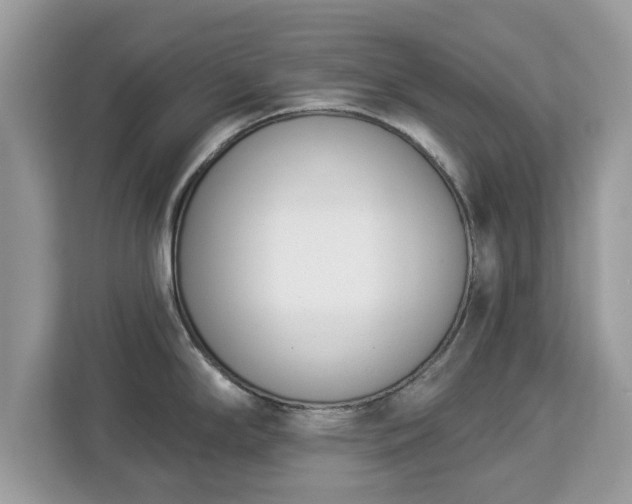 X0000112841294200908281544