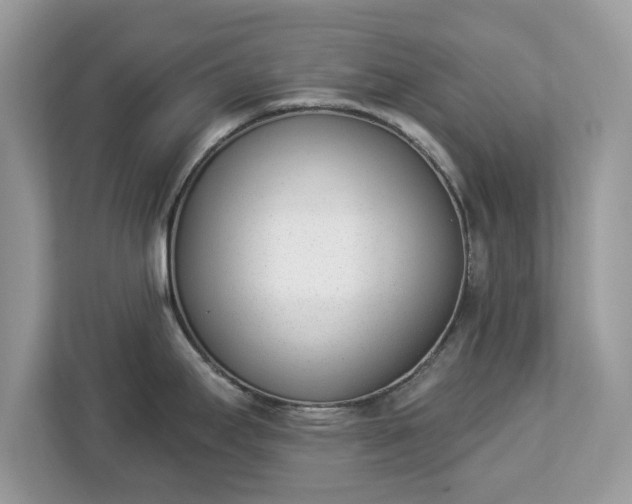 X0000112841295200908281544