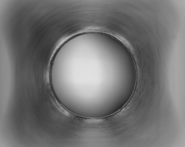 X0000112841296200908281544