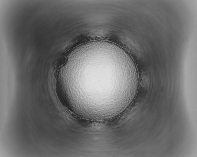 X0000112841297200908281543