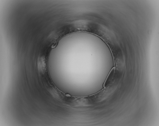 X0000112841298200908281543