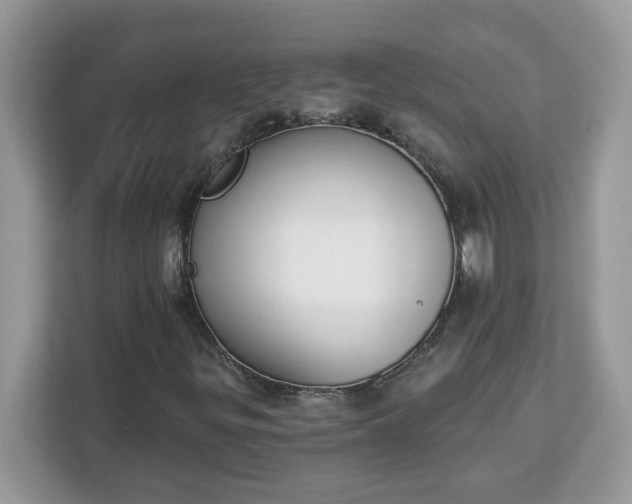 X0000112841299200908281543