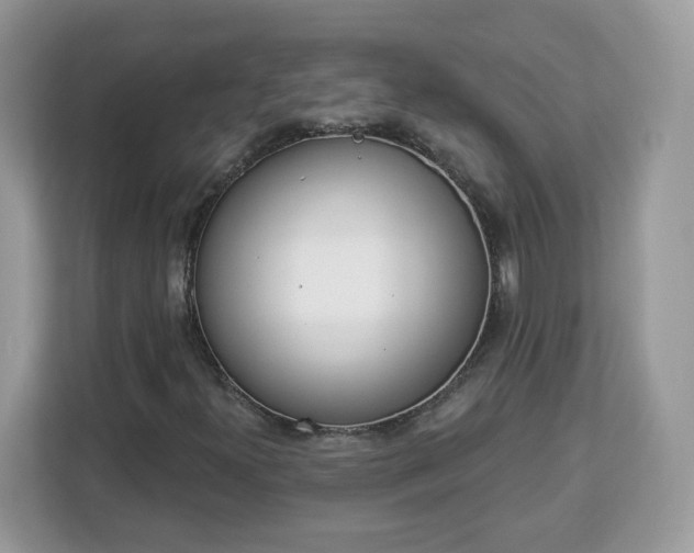 X0000112841300200908281543