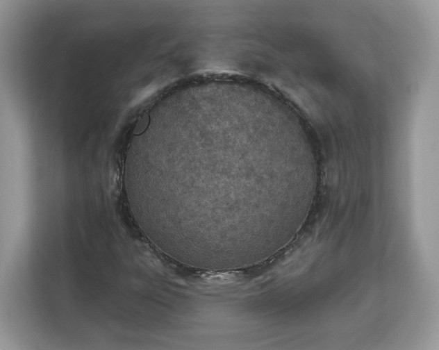 X0000112841303200908281543