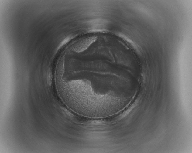 X0000112841306200908281543