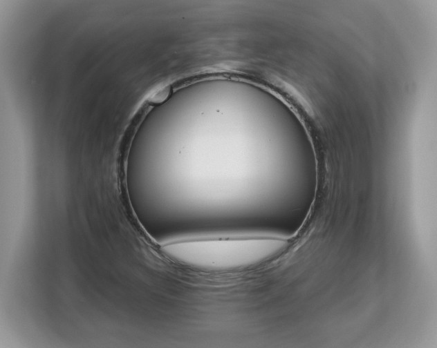 X0000112841308200908281544