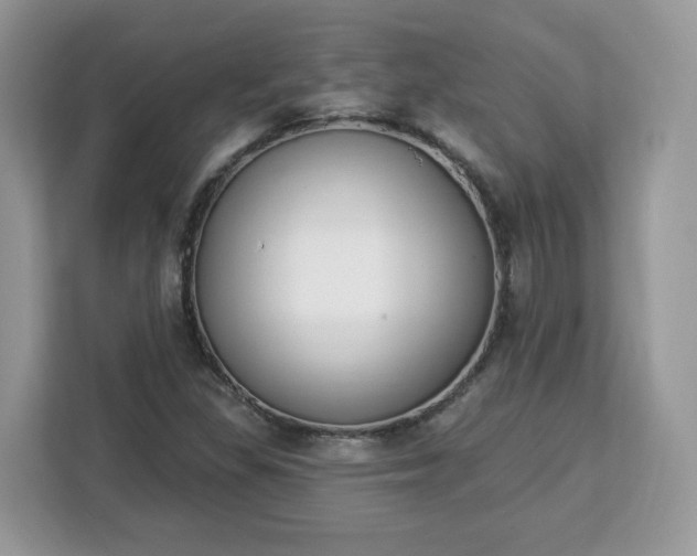 X0000112841309200908281544