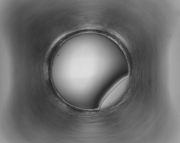 X0000112841310200908281544