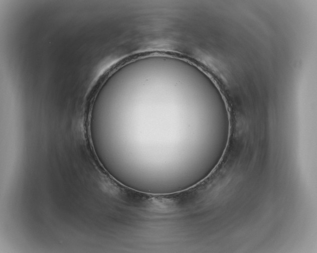 X0000112841312200908281544