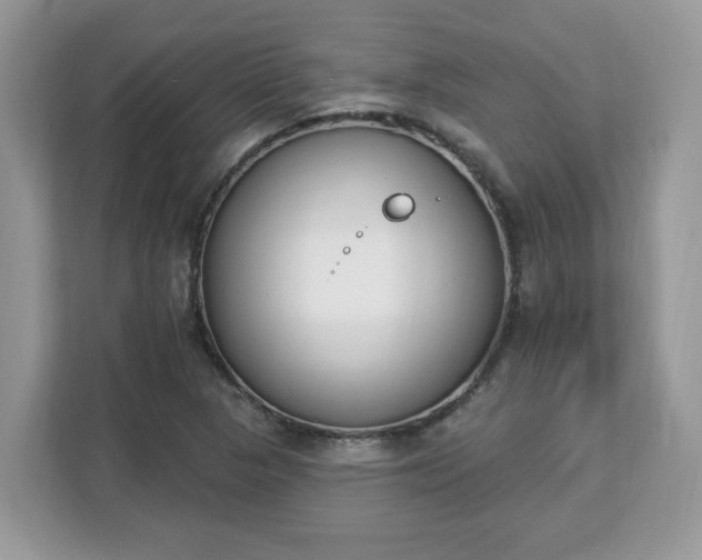 X0000112841313200908281544