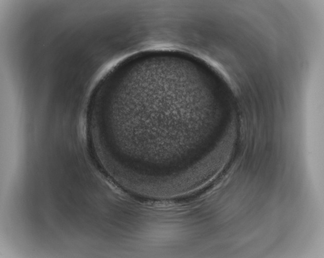 X0000112841319200908281544