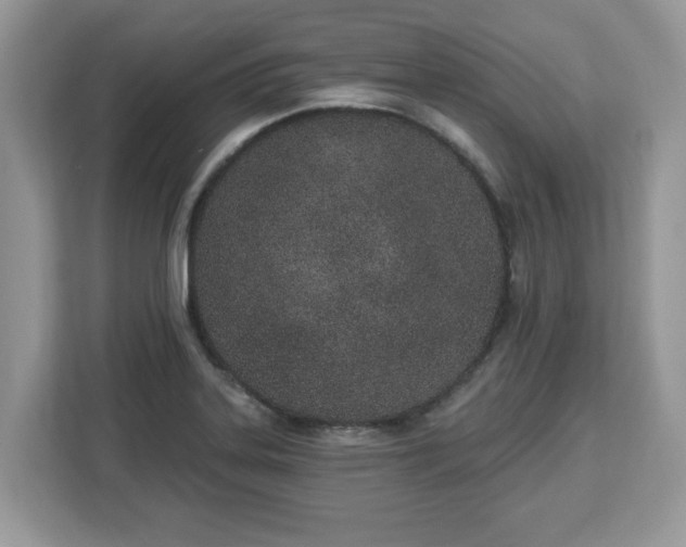 X0000112841323200908281544