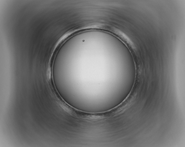 X0000112841324200908281544