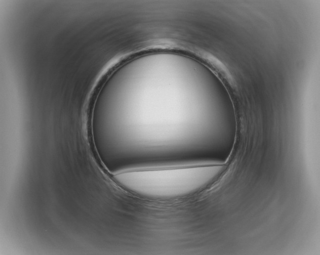 X0000112841326200908281544