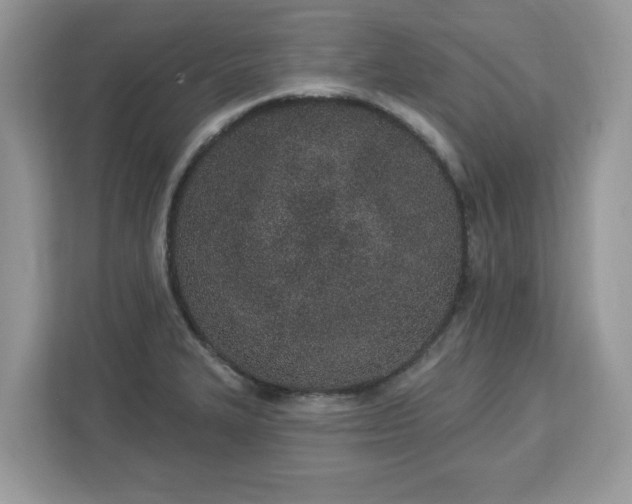 X0000112841327200908281544