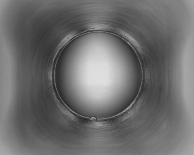 X0000112841330200908281544