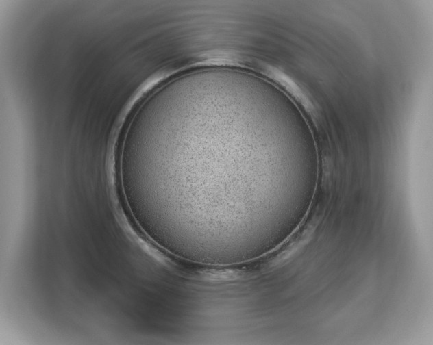 X0000112841331200908281544