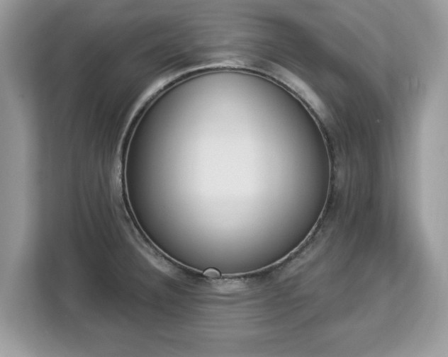 X0000112841332200908281544