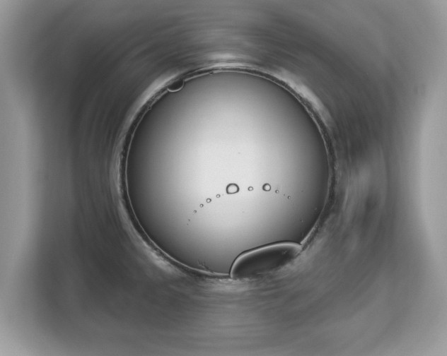 X0000112841333200908281544