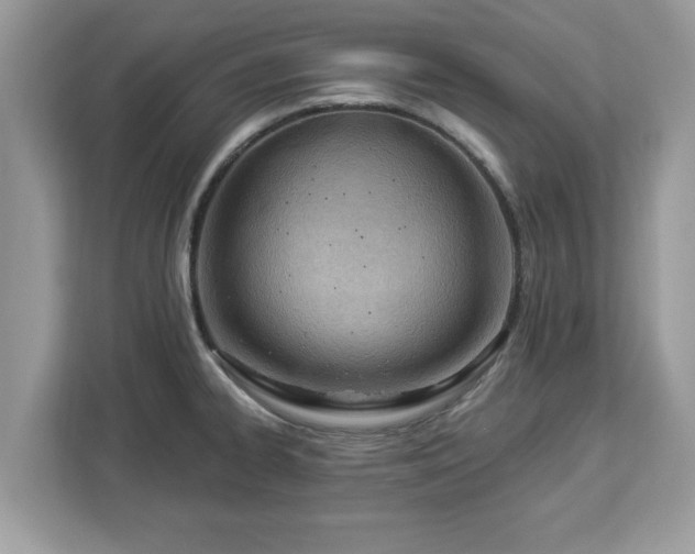 X0000112841334200908281544