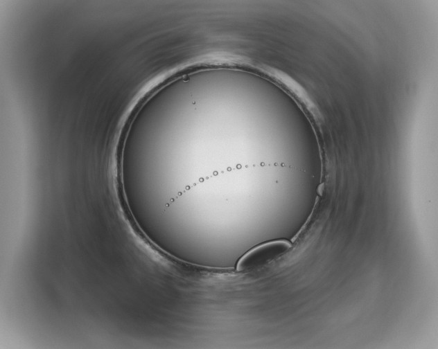 X0000112841335200908281544