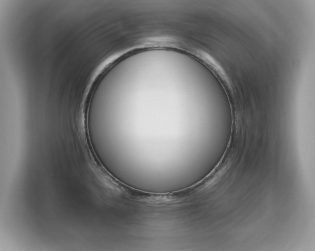 X0000112841336200908281544