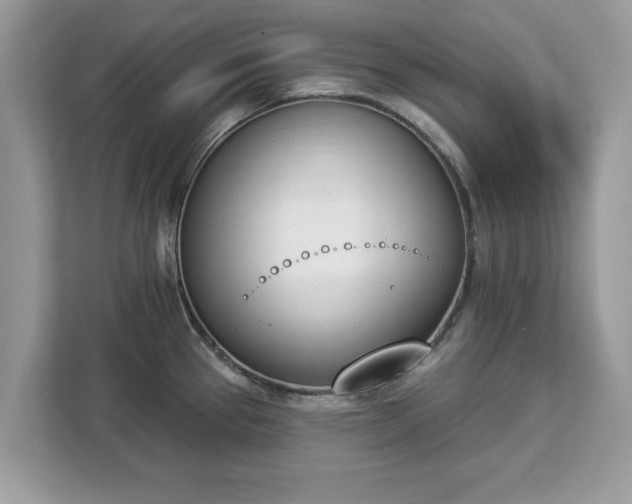 X0000112841337200908281544