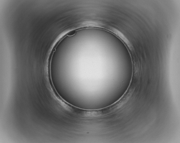 X0000112841339200908281544